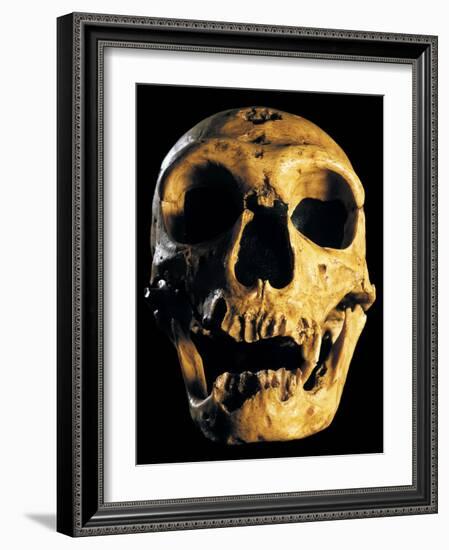 Neanderthal Skull-Javier Trueba-Framed Photographic Print