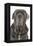 Neapolitan Mastiff-null-Framed Premier Image Canvas