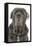 Neapolitan Mastiff-null-Framed Premier Image Canvas