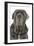 Neapolitan Mastiff-null-Framed Photographic Print
