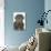 Neapolitan Mastiff-null-Photographic Print displayed on a wall