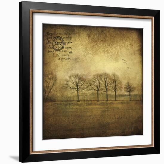 Near Amsterdam-Dawne Polis-Framed Art Print