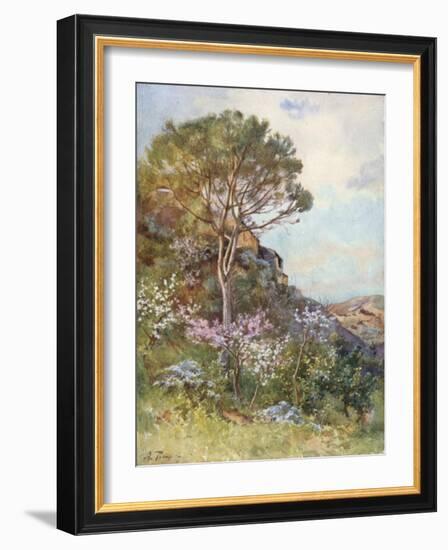 Near Calatafimi-Alberto Pisa-Framed Giclee Print