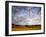 Near Caliente, California: Sunset on the Northern Most Edge of the Tejon Ranch at Sunset.-Ian Shive-Framed Photographic Print