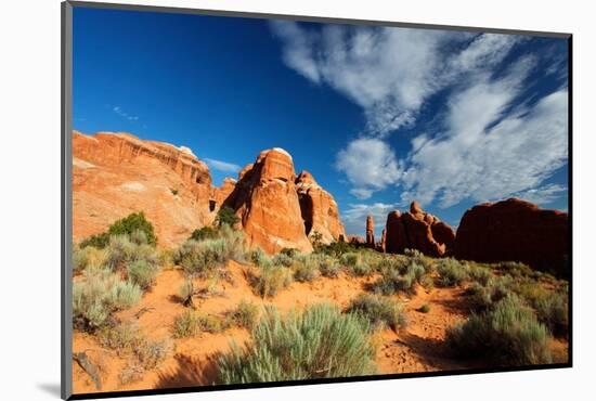 Near Devil's Garden, Arches National Park, Utah-Geraint Tellem-Mounted Photographic Print