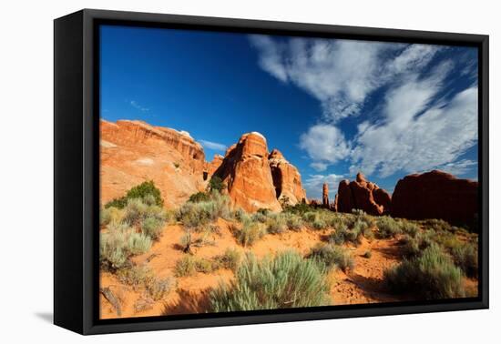 Near Devil's Garden, Arches National Park, Utah-Geraint Tellem-Framed Premier Image Canvas