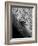 Near Drowning Victim Mary Eschner, Who is Reviving in the Center of the Crowd, Coney Island-Margaret Bourke-White-Framed Photographic Print