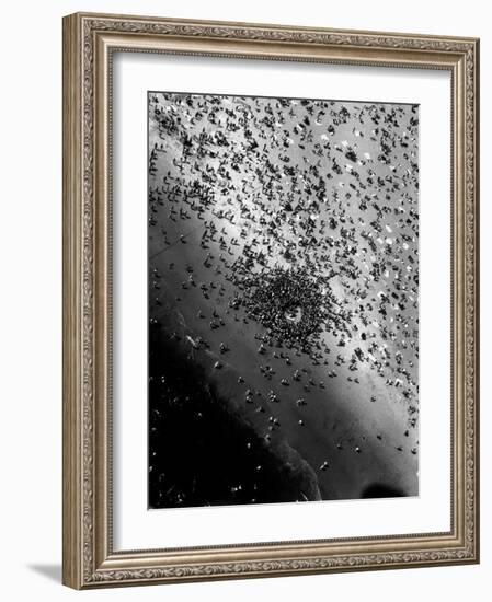 Near Drowning Victim Mary Eschner, Who is Reviving in the Center of the Crowd, Coney Island-Margaret Bourke-White-Framed Photographic Print