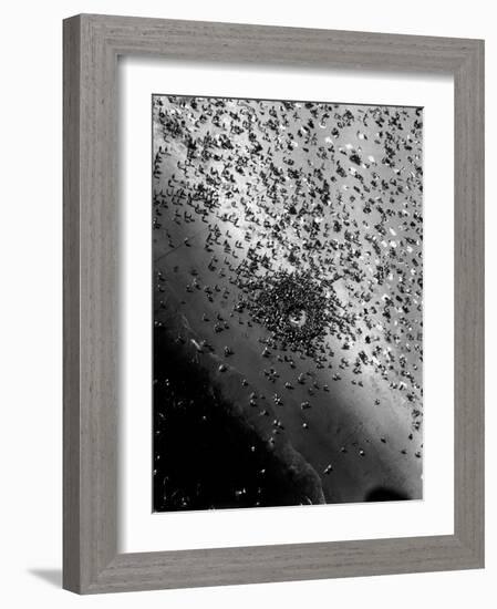 Near Drowning Victim Mary Eschner, Who is Reviving in the Center of the Crowd, Coney Island-Margaret Bourke-White-Framed Photographic Print