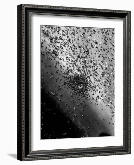 Near Drowning Victim Mary Eschner, Who is Reviving in the Center of the Crowd, Coney Island-Margaret Bourke-White-Framed Photographic Print