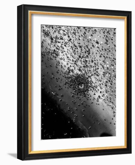 Near Drowning Victim Mary Eschner, Who is Reviving in the Center of the Crowd, Coney Island-Margaret Bourke-White-Framed Photographic Print