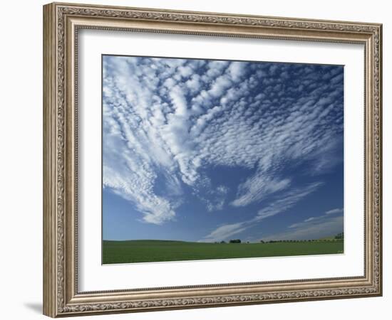 Near Eynsford in the Darent Valley, North Downs, Near Sevenoaks, Kent, England, UK-David Hughes-Framed Photographic Print