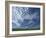 Near Eynsford in the Darent Valley, North Downs, Near Sevenoaks, Kent, England, UK-David Hughes-Framed Photographic Print