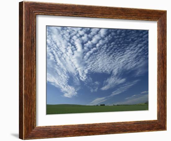 Near Eynsford in the Darent Valley, North Downs, Near Sevenoaks, Kent, England, UK-David Hughes-Framed Photographic Print