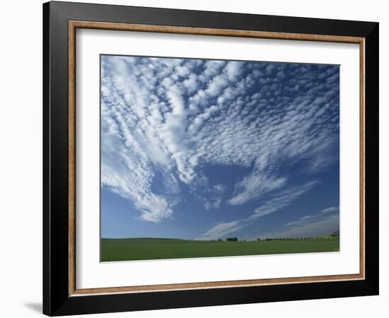 Near Eynsford in the Darent Valley, North Downs, Near Sevenoaks, Kent, England, UK-David Hughes-Framed Photographic Print