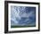 Near Eynsford in the Darent Valley, North Downs, Near Sevenoaks, Kent, England, UK-David Hughes-Framed Photographic Print