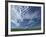 Near Eynsford in the Darent Valley, North Downs, Near Sevenoaks, Kent, England, UK-David Hughes-Framed Photographic Print