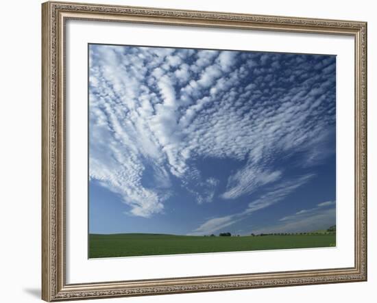 Near Eynsford in the Darent Valley, North Downs, Near Sevenoaks, Kent, England, UK-David Hughes-Framed Photographic Print