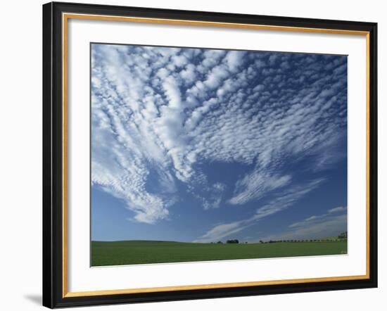 Near Eynsford in the Darent Valley, North Downs, Near Sevenoaks, Kent, England, UK-David Hughes-Framed Photographic Print