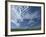 Near Eynsford in the Darent Valley, North Downs, Near Sevenoaks, Kent, England, UK-David Hughes-Framed Photographic Print