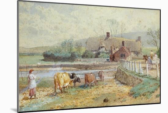 Near Freshwater, Isle of Wight (W/C over Pencil Heightened with White on Paper)-Myles Birket Foster-Mounted Giclee Print
