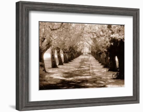 Near Midsummer Common, Cambridge-Derek Langley-Framed Art Print