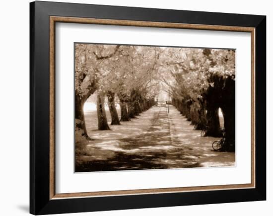 Near Midsummer Common, Cambridge-Derek Langley-Framed Art Print