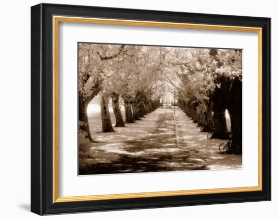 Near Midsummer Common, Cambridge-Derek Langley-Framed Art Print