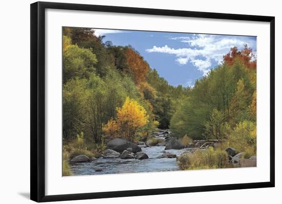 Near Perfect Day-Mike Jones-Framed Giclee Print