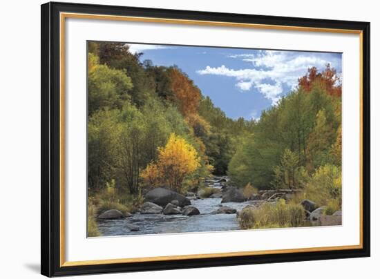 Near Perfect Day-Mike Jones-Framed Giclee Print