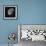 Near Side Of The Moon-Brenda Petrella Photography LLC-Framed Giclee Print displayed on a wall