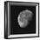 Near Side Of The Moon-Brenda Petrella Photography LLC-Framed Giclee Print