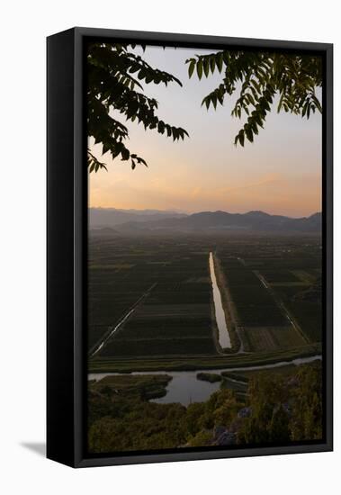 near Staseviki, Dalmatia, Croatia. Agricultural landscape.-null-Framed Premier Image Canvas