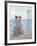 Nearing Home, C.1905-Abbott Fuller Graves-Framed Giclee Print