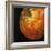 Nearly Full View of Io, One of the Moons of Jupiter, 1979-null-Framed Giclee Print