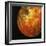 Nearly Full View of Io, One of the Moons of Jupiter, 1979-null-Framed Giclee Print