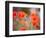 Nearness-Marco Carmassi-Framed Photographic Print