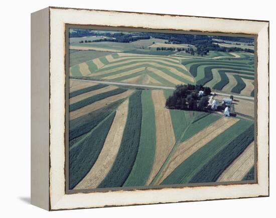 Neat, Swirling Furrows, Contour Plowed across Gently Rolling Fields of Southwestern Wisconsin-John Zimmerman-Framed Premier Image Canvas