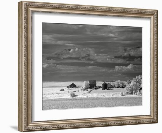 Nebraska Farm-J.D. Mcfarlan-Framed Photographic Print