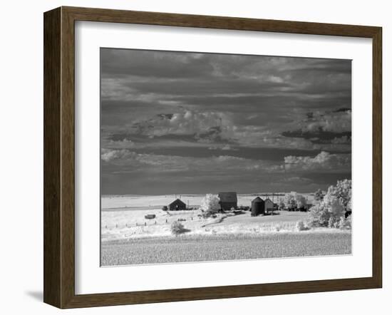 Nebraska Farm-J.D. Mcfarlan-Framed Photographic Print