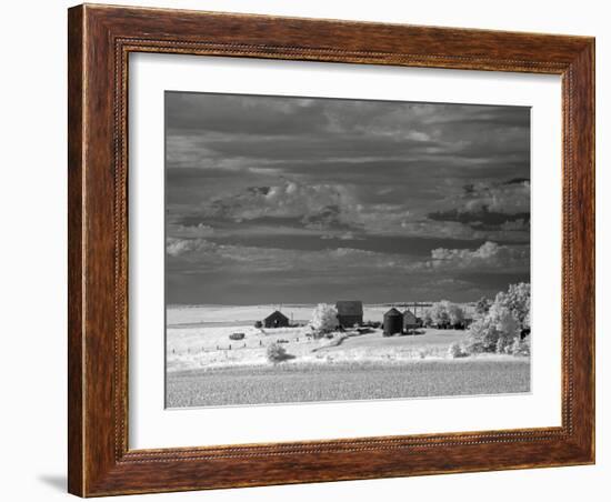 Nebraska Farm-J.D. Mcfarlan-Framed Photographic Print