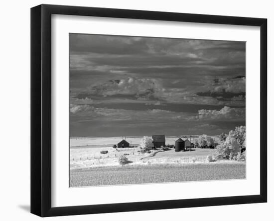 Nebraska Farm-J.D. Mcfarlan-Framed Photographic Print