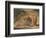 Nebuchadnezzar, 1795-William Blake-Framed Giclee Print