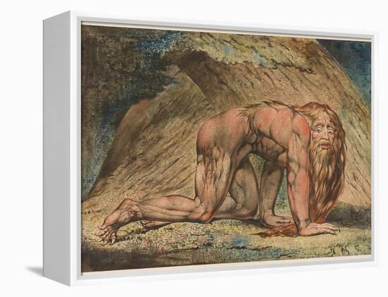 Nebuchadnezzar, 1795-William Blake-Framed Premier Image Canvas