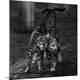 Premium Photographic Print