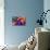Nebula Wave-null-Premium Giclee Print displayed on a wall