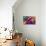 Nebula Wave-null-Premium Giclee Print displayed on a wall