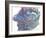 Nebulous-Pamela A. Johnson-Framed Giclee Print