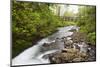 Necarney Creek, and Suspension Bridge, Oswald West State Park, Oregon, USA-Jamie & Judy Wild-Mounted Photographic Print