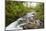 Necarney Creek, and Suspension Bridge, Oswald West State Park, Oregon, USA-Jamie & Judy Wild-Mounted Photographic Print